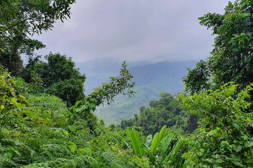 El Nudo del Paramillo es uno de los lugares más intrincados de la realidad colombiana. En su sistema montañoso palpitan las contradicciones de la cordillera central andina, los bosques del Urabá y las planicies hacendadas de la costa caribe.