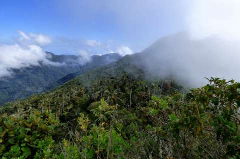 Estas son las actividades económicas que alberga la Sierra Nevada de Santa Marta