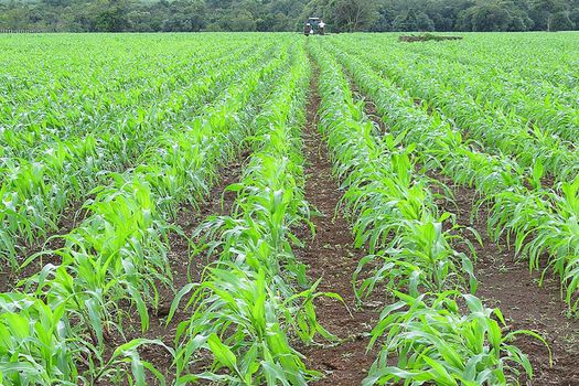 Definen medidas que complementan el proyecto de reforma agraria.