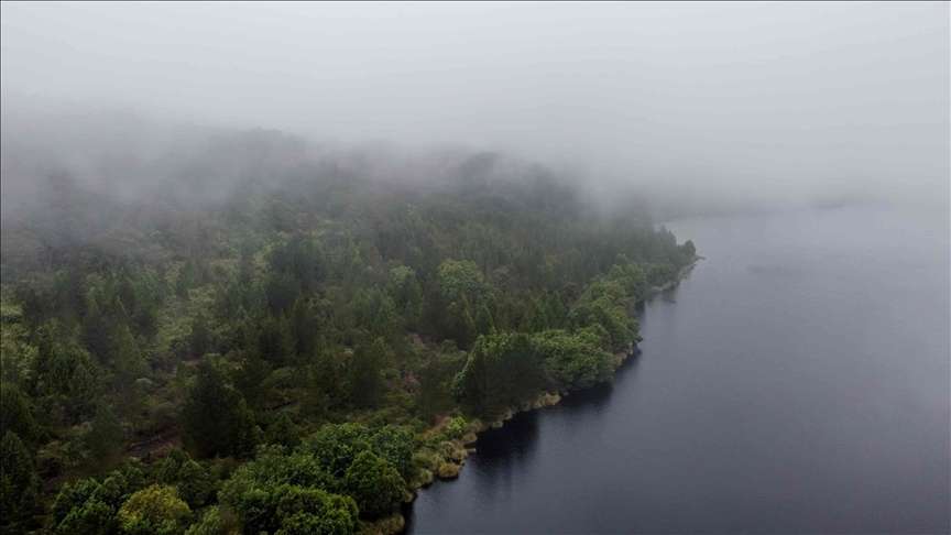 Una iniciativa impulsada por los sectores público y privado tiene como objetivo reforestar el páramo de Guerrero, uno de los más afectados por la intervención humana en Colombia y el cual proporciona el 15% del agua a la capital del país.