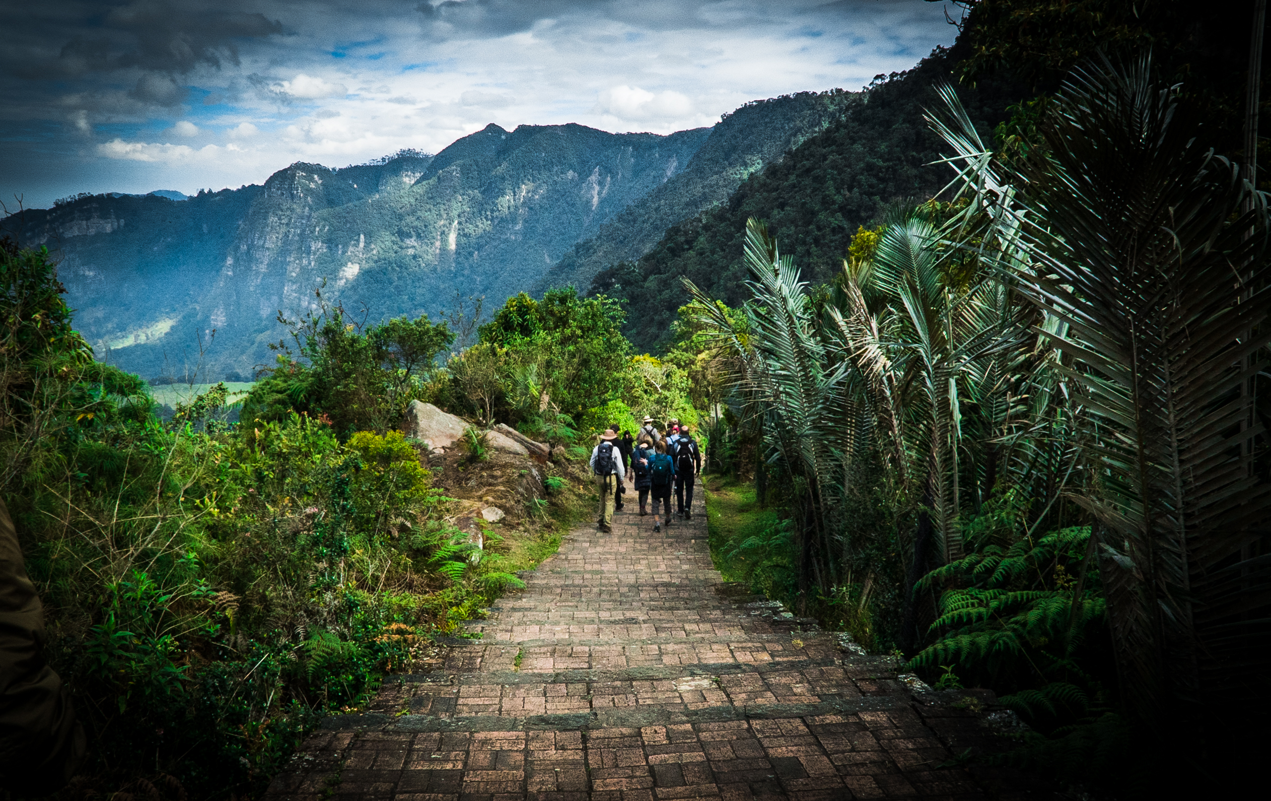 Los empresarios internacionales participarán en ocho viajes de familiarización, que incluyen destinos de naturaleza de las Seis Regiones Turísticas del país.