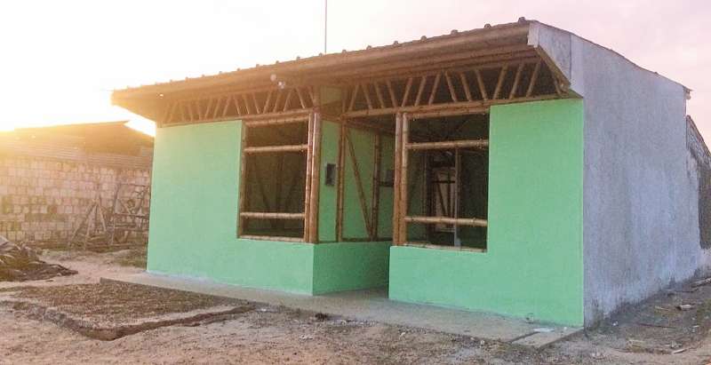 La guadua, considerada “acero vegetal”, se produce sobre todo en el Eje Cafetero, a casi 700 kilómetros de la Amazonia. / Tatiana Pardo
