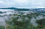 Así es como la deforestación en la Amazonia reduce las lluvias en los Andes
