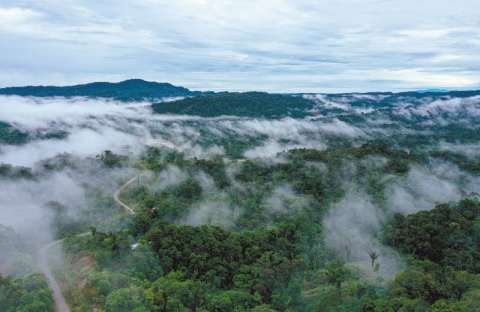 Así es como la deforestación en la Amazonia reduce las lluvias en los Andes