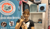 ⁠La Fundación Mil Bigotes necesita de usted: ayúdelos adoptando un gato o siendo voluntario