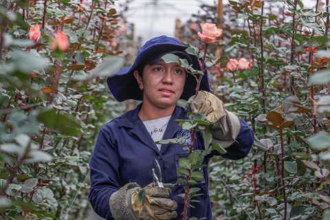 Certificados del SENA podrán ser reconocidos en Chile: abren convocatoria con 150 cupos
