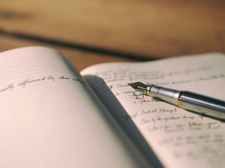 El insensato juego de escribir