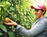 ¿Cómo reducir la deforestación y producir sosteniblemente en el campo al mismo tiempo?