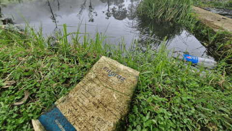 CAR suspende cultivos de papa en Cundinamarca por afectación a nacimientos de agua