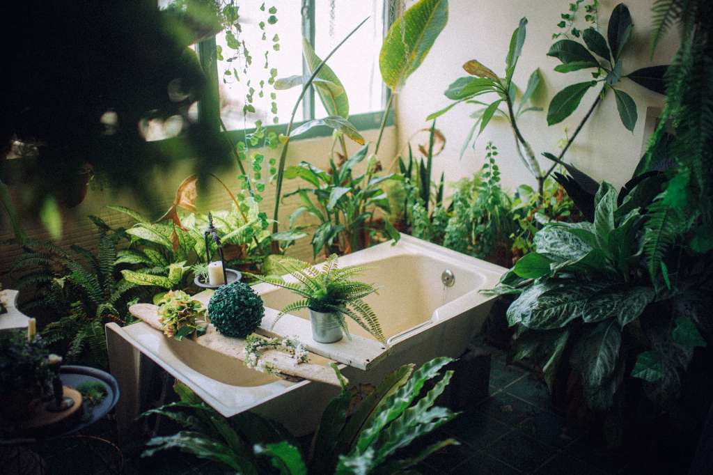 Imagen de un jardín interior hecho sobre una bañera.