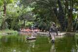 Con sonidos de tambores, Parque de la Conservación protege fauna de la pólvora