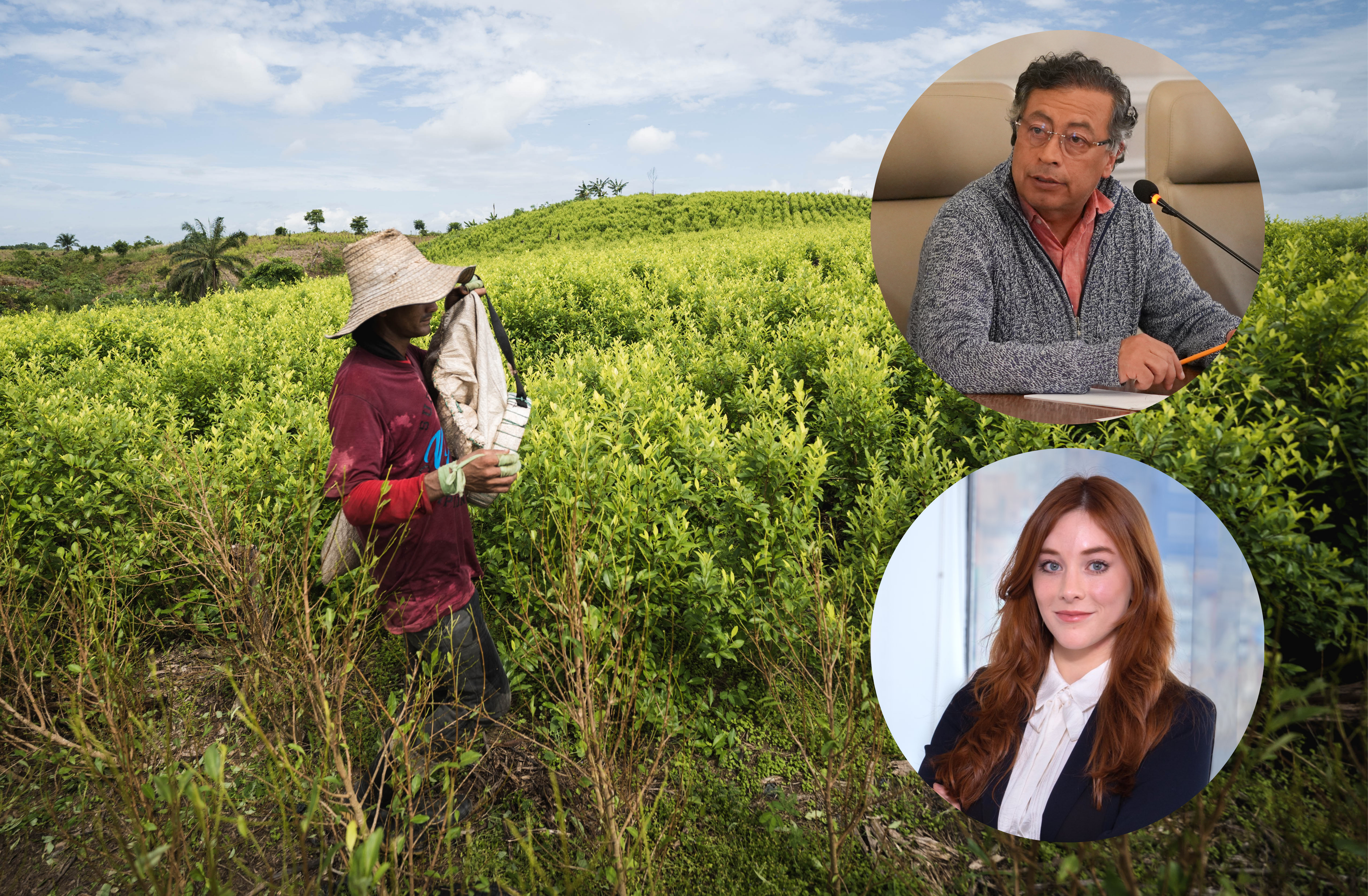 El presidente Petro y Gloria Miranda, quien encabeza la Dirección de Sustitución de Cultivos de uso Ilíicito, anunciaron un plan para el Catatumbo.