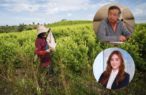 Gobierno dice que sí tiene dinero para cumplir metas de erradicación y sustitución de coca