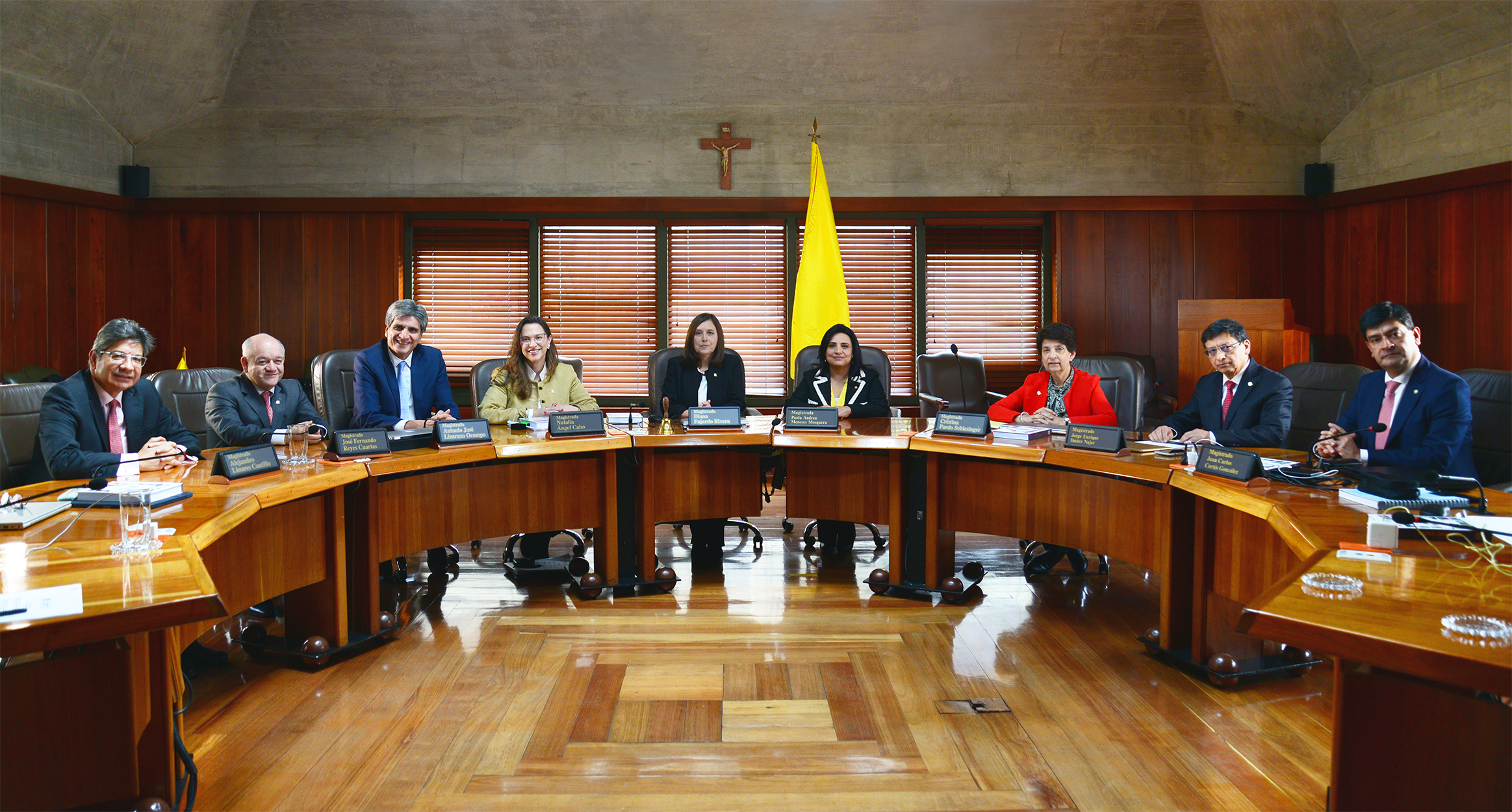 Sala Plena de la Corte Constitucional