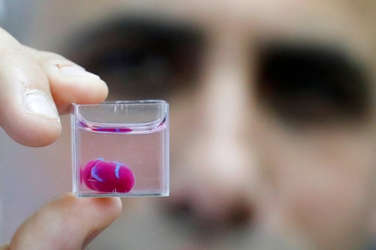 Científicos presentan un corazón realizado con impresora 3D a partir de tejidos humanos