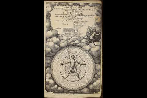 Macro y microcosmos: el cuerpo humano y la armonía del universo