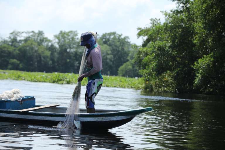 Un viaje a los pueblos palafito del Magdalena: un paraíso flotante