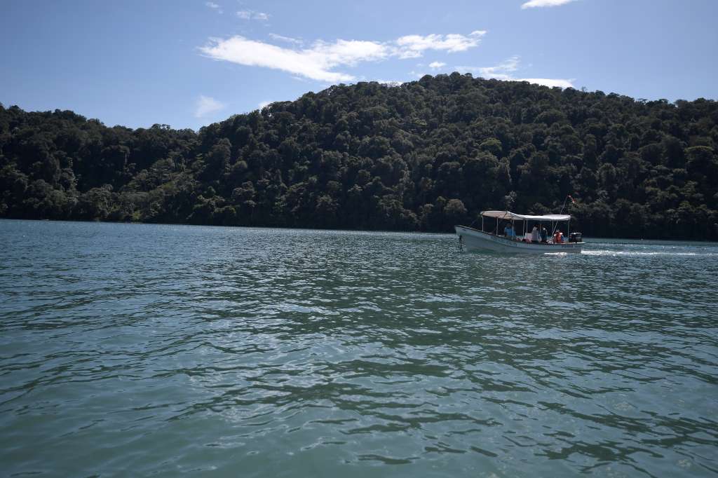 Parque con gran gran variedad de ecosistemas, ubicado en el Chocó.