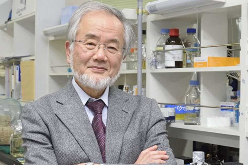 El biólogo japonés Yoshinori Ohsumi recibió el Premio Nobel de Medicina.