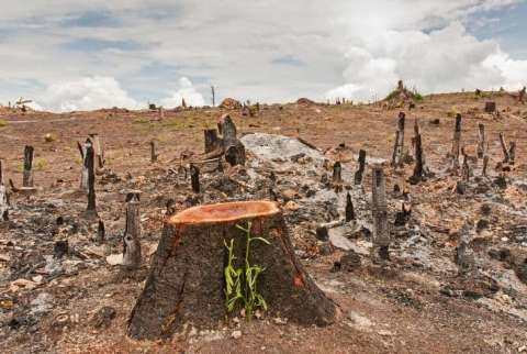 El 83% de los desastres de la última década están relacionados con la variabilidad climática