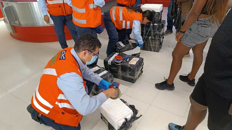 Incautan carne de armadillo en el aeropuerto a donde llegan los viajeros para Cali