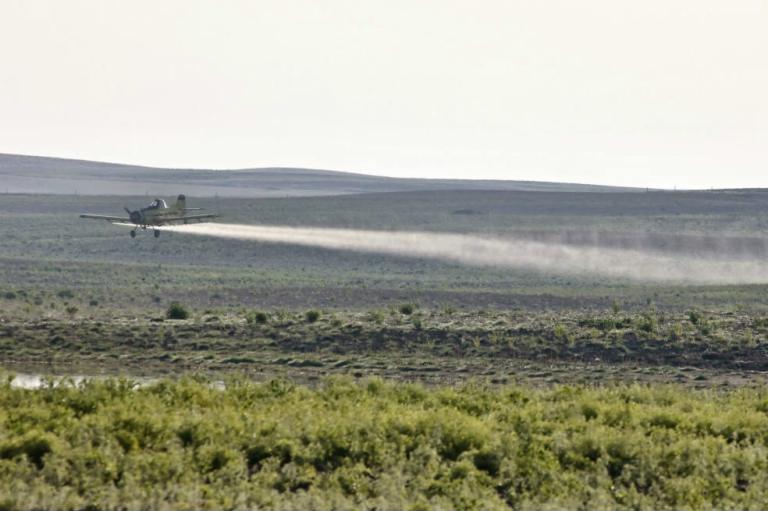 Avanza proceso contra fumigaciones con glifosato