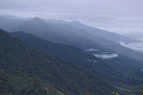 El plancton primitivo pudo contribuir en la formación de las montañas