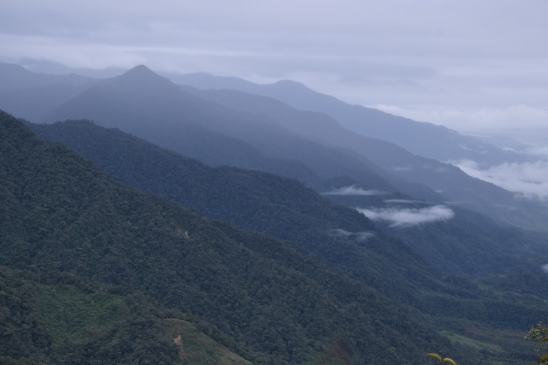 El plancton primitivo pudo contribuir en la formación de las montañas