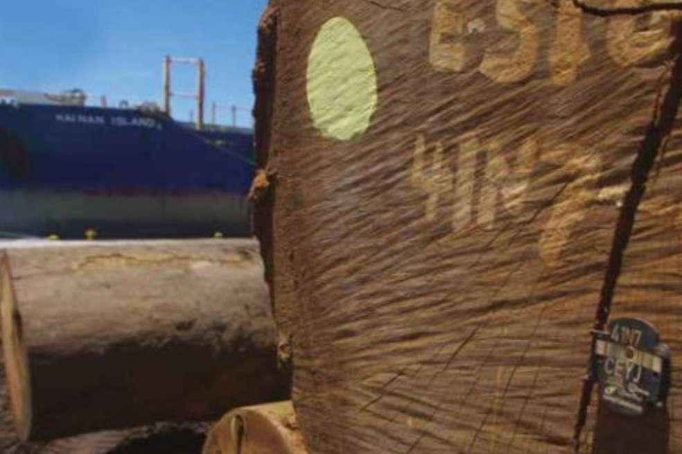 Trozas de madera listas para la exportación en Puerto de Buchanan, Liberia. / Organización de las Naciones Unidas para la Alimentación y la Agricultura (FAO)