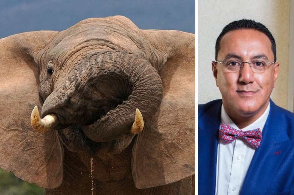 La propuesta de castigar con pena de muerte a los cazadores furtivos, hecha por Najib Balala (foto derecha), ministro de turismo y vida silvestre de Kenia, parece haber tenido acogida dentro del Gobierno de este país. / AFP / Tomado de Twitter @tunajibu ?