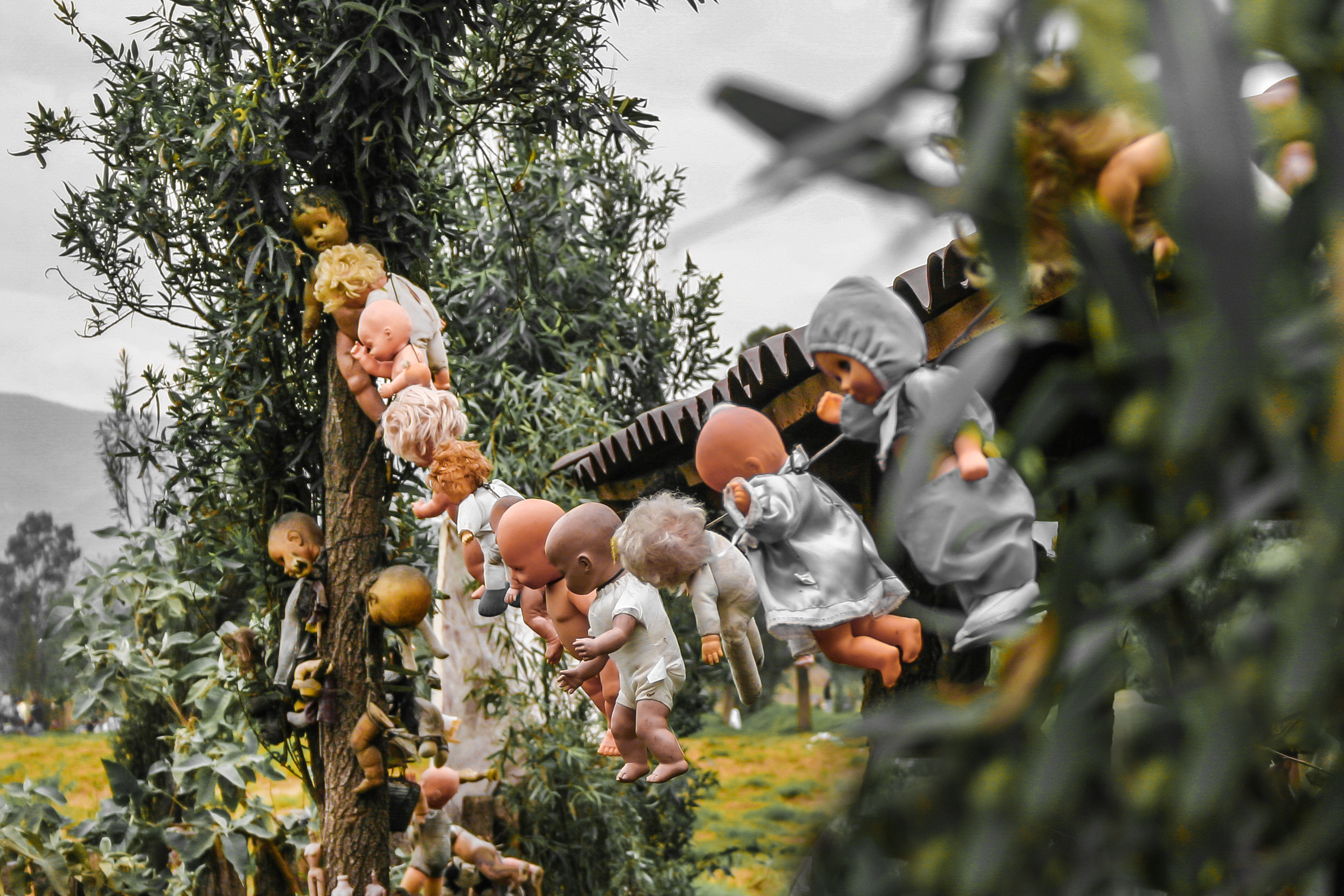Al sur de la Ciudad de México, entre los canales de Xochimilco, está la Isla de las Muñecas.