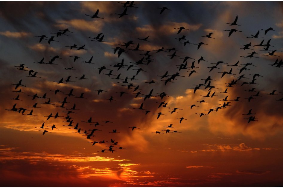 / Foto: Pixabay