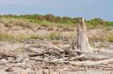 Cambio climático acelerará la pobreza