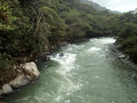 Los alfabetos del agua de la cultura Awá en Nariño