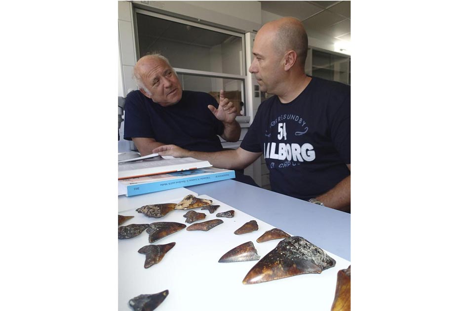 Pedro J. Pascual Alayón, biólogo marino del IEO, y Franco Cigala Fulgosi (d-i), profesor de paleontología y paleoecología de la Universidad de Parma (Italia) han identificado los restos del mayor depredador marino que ha existido en el mundo, el "megalodón".