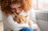 ¿Que sienten los gatos al cambiar de dueño?  Esto dicen los expertos