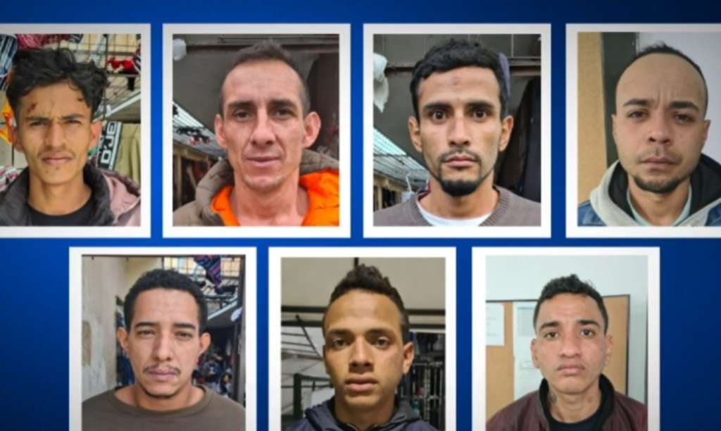Los siete sujetos tienen antecedentes por hurto.