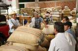 Inversiones forzosas impulsaron el desembolso de créditos agropecuarios