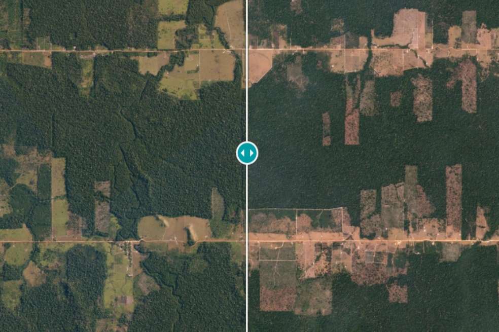 Imagen de la selva amazónica, justo al este de Porto Velho, Brasil, los incendios de selva tropical.