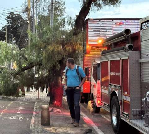 Movilidad hoy: Choque de camión contra árbol afecta la movilidad en Barrios Unidos