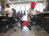 “Pasantes de cuatro patas”: opción para mejorar la cultura empresarial en Bogotá