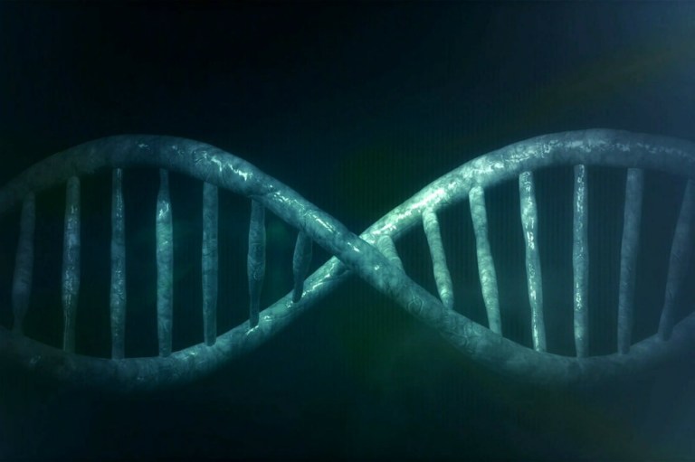 Según un estudio, los genes influyen en los niveles de actividad física