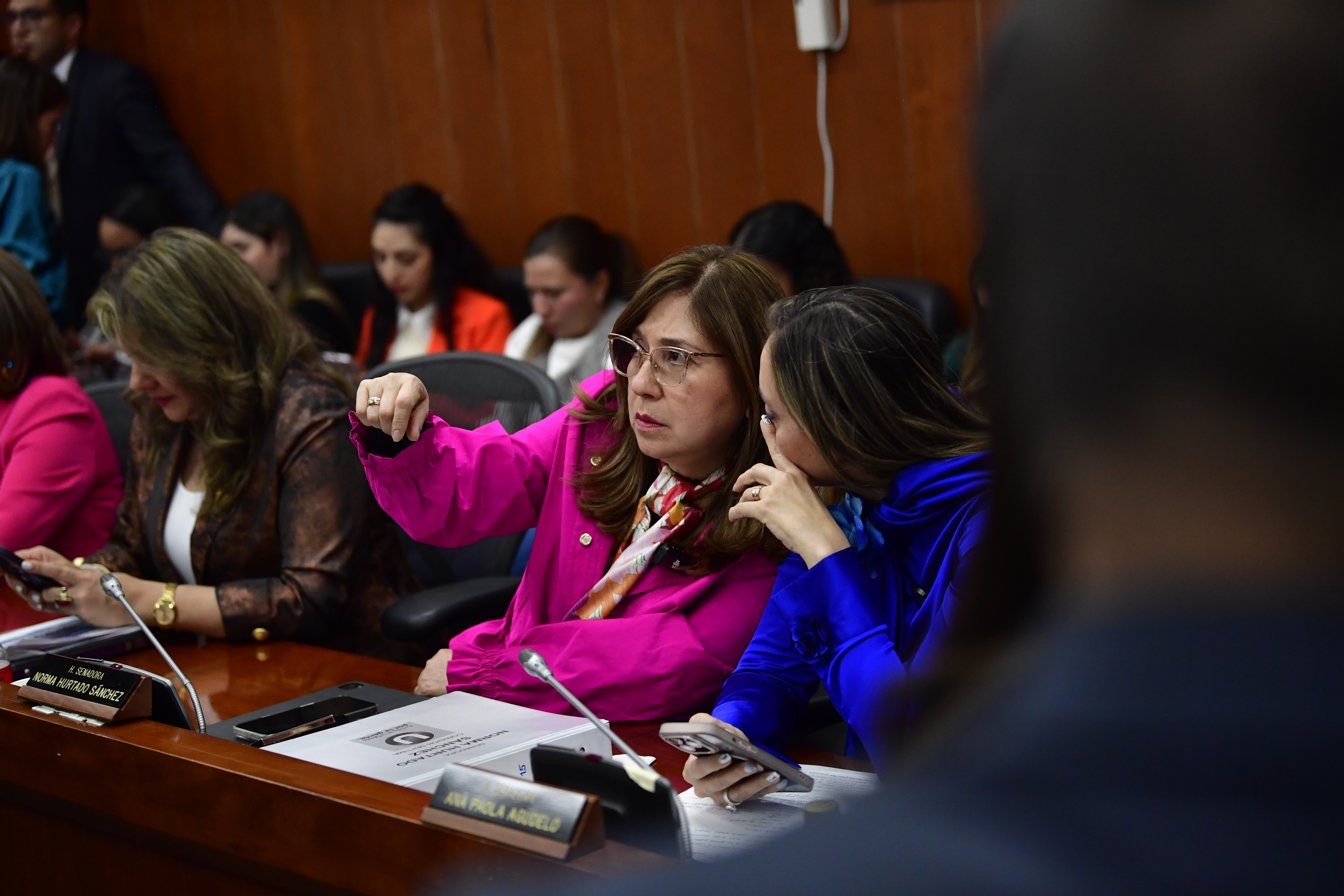 Senadora del Partido de la U durante el debate de la reforma laboral del gobierno de Gustavo Petro la cual se hundió en la Comisión Séptima del Senado