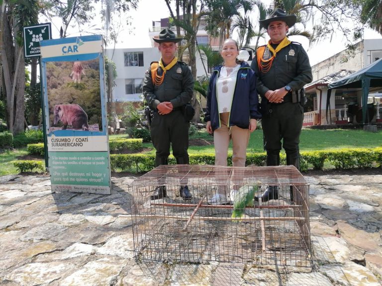 Autoridades intensifican acciones contra el tráfico de fauna en Semana Santa