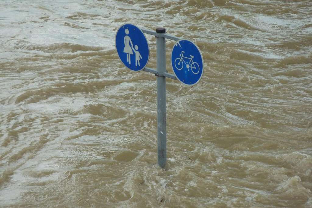 Cambio climático.