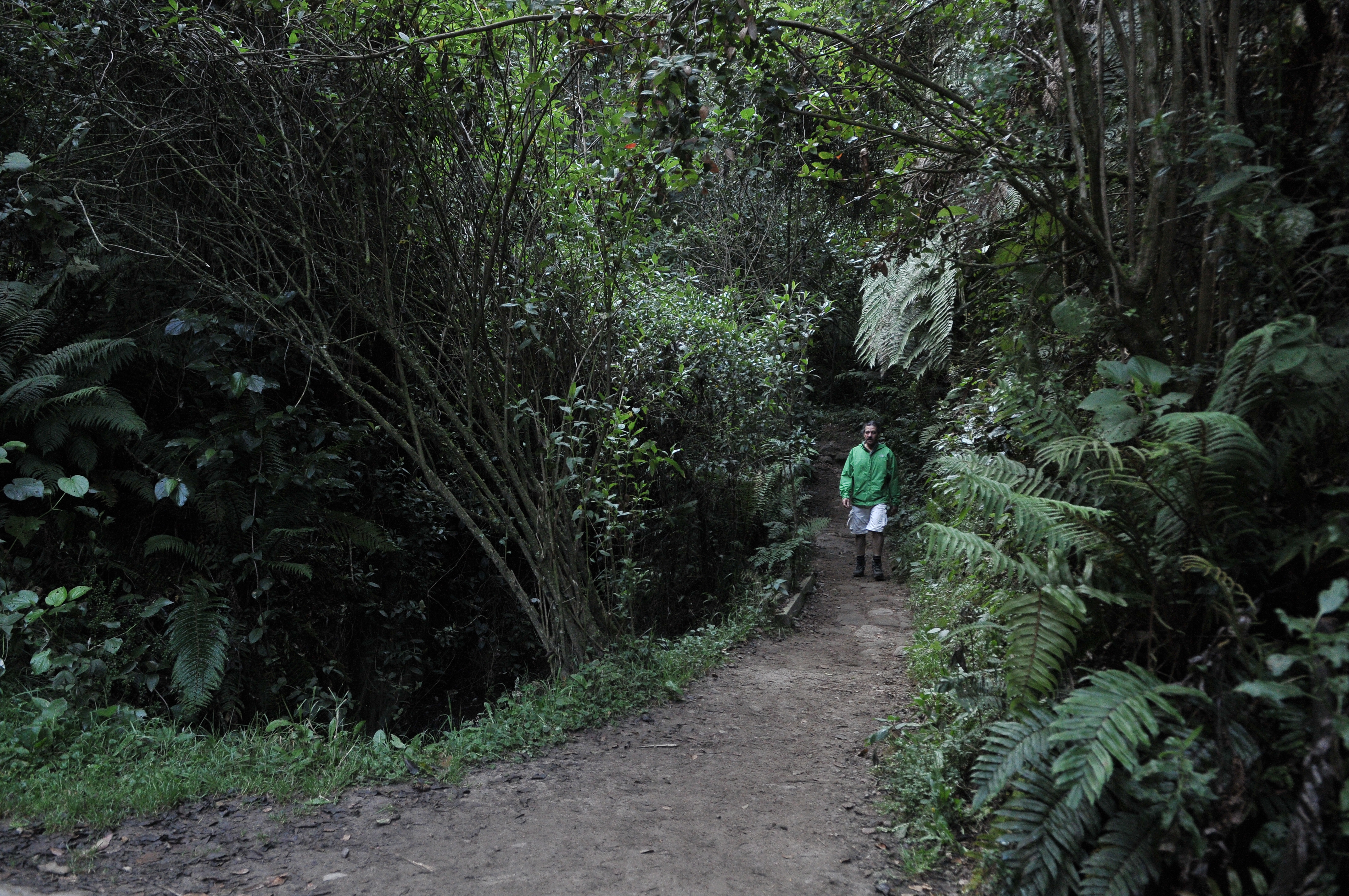Zona hídrica natural ubicada en los Cerros Orientales de Bogotá, en la localidad de Chapinero