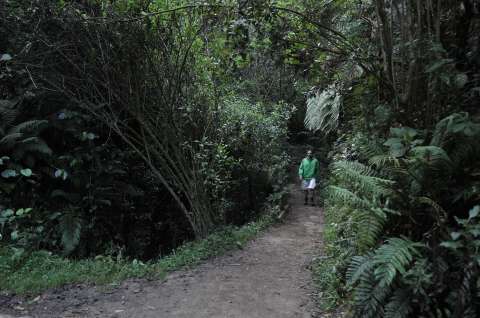 Madre e hijo fueron víctimas de robo y secuestro en sendero de los Cerros Orientales
