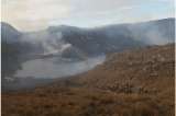 Incendio destruye zona protegida del páramo del Almorzadero en Santander