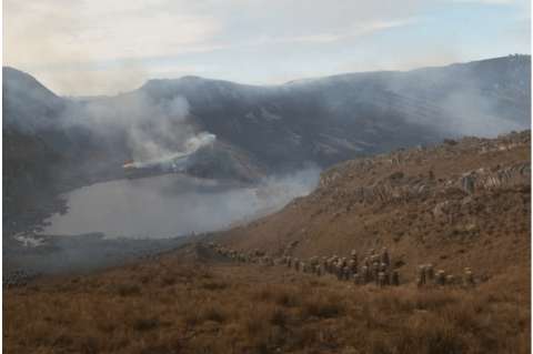 Incendio destruye zona protegida del páramo del Almorzadero en Santander