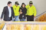Cartel de devolución del IVA: Estado recupera $12.000 millones del desfalco a DIAN
